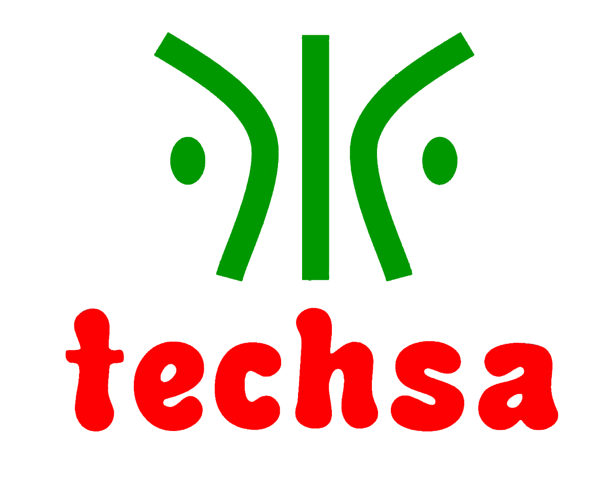Techsa Services - Logo